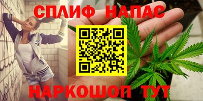 СК Пенза